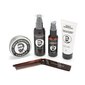 Habemehoolduskomplekt meestele Percy Nobleman Complete Beard Care Kit цена и информация | Raseerimisvahendid | kaup24.ee