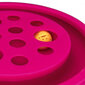 Mänguasi kassidele - rada koos palli ja kraapimiskohaga Trixie цена и информация | Mänguasjad kassidele | kaup24.ee