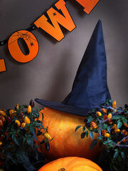 Шляпа ведьмы, черная, 1 коробка/40 шт цена и информация | Карнавальные костюмы | kaup24.ee