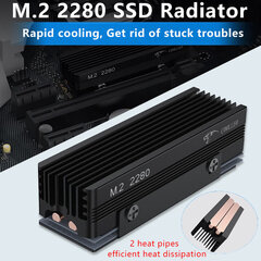 COOLLEO M.2 2280 SSD jahutusradiaator 14,8 W/MK Thermal Pad 2 soojustoruga pooljuhtajamiga radiaator M.2 NVMe 2280 SSD jahutile цена и информация | Дополнительные принадлежности | kaup24.ee