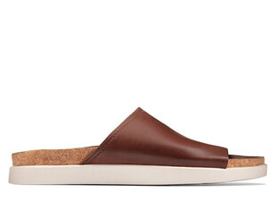 CLARKS Meeste Sunder Slide pruunid nahast flip-flopid hind ja info | Meeste plätud, sussid | kaup24.ee