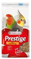 Корм для крупных и средних попугаев Versele-Laga, 1 кг цена и информация | Корм для птиц | kaup24.ee