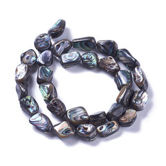 Paua Merekarbi Helmed, Nuggets, Värvus: Värviline, 10-19x5-8mm, umbes 27-29tk / 38-38,5cm / niit hind ja info | Ehete valmistamine, helmestamine | kaup24.ee