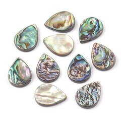 Mother Of Pearl Abalone/Paua Beads, Tilk, 18x13x3mm, Värvus: Mitmevärviline, Auk 1mm, 2tk hind ja info | Ehete valmistamine, helmestamine | kaup24.ee