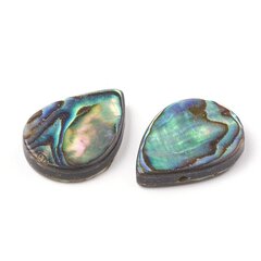 Mother Of Pearl Abalone/Paua Beads, Tilk, 18x13x3mm, Värvus: Mitmevärviline, Auk 1mm, 2tk hind ja info | Ehete valmistamine, helmestamine | kaup24.ee