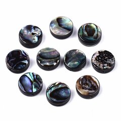 Pärlmutter Helmed, Abalone/Paua, Lame Ümmargune, 10x3,5mm, Värvus: Mitmevärviline, Auk 0,8mm, 2tk hind ja info | Ehete valmistamine, helmestamine | kaup24.ee