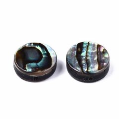 Pärlmutter Helmed, Abalone/Paua, Lame Ümmargune, 10x3,5mm, Värvus: Mitmevärviline, Auk 0,8mm, 2tk hind ja info | Ehete valmistamine, helmestamine | kaup24.ee