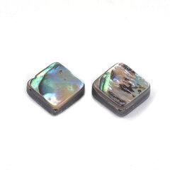 Pärlmutter Helmed, Abalone/Paua, Teemant, 8-8,5x8-8,5x3,5-4mm, Auk 1mm, 2tk hind ja info | Ehete valmistamine, helmestamine | kaup24.ee