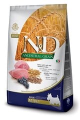 N&D Low Grain корм для взрослых собак мелких пород с бараниной и черникой, 7 кг цена и информация | Сухой корм для собак | kaup24.ee