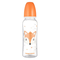 Kitsa kaelaga lutipudel Canpol Cute Animals 250ml, oranž (11/841) цена и информация | Бутылочки и аксессуары | kaup24.ee