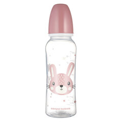 Kitsa kaelaga pudel Canpol Cute Animals 250ml, roosa (11/841) hind ja info | Lutipudelid ja aksessuaarid | kaup24.ee