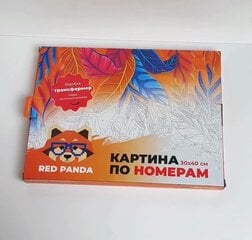 Картина по номерам Анимэ цена и информация | Живопись по номерам | kaup24.ee