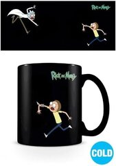 Rick and Morty Portals Heat Changing Mug 315ml цена и информация | Атрибутика для игроков | kaup24.ee