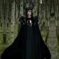 Maleficent kostüüm, must, 3-osaline цена и информация | Karnevali kostüümid | kaup24.ee