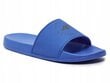 Meeste Flip Flops 4F 4FMM00FFLIM046A-33N sportlik suveks bassein sinine 43 цена и информация | Meeste plätud, sussid | kaup24.ee