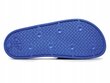 Meeste 4F Flip Flops 4FMM00FFLIM046A-33N sportlik suveks bassein sinine 44 hind ja info | Meeste plätud, sussid | kaup24.ee