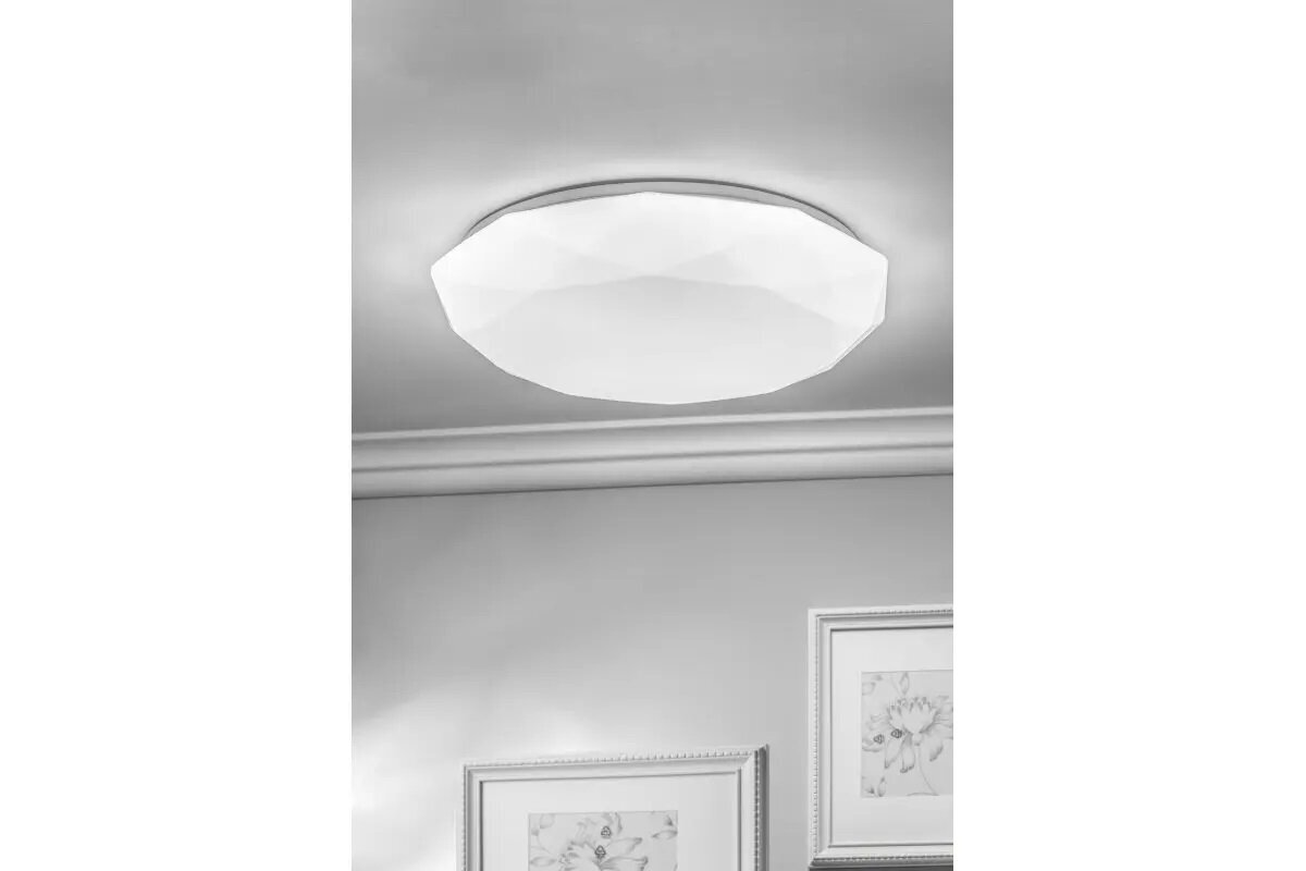 Pinnapealne LED-laevalgusti STARS BIS, ümmargune, valge, Ø330mm, 4000K, 24W, 1920lm, IP54, LD-STARS24W-NW-00 цена и информация | Laelambid | kaup24.ee