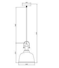 Ripplamp MUSCARI 2 IIB, 22,5 cm, merevaigukollane 3930, GTV hind ja info | Laelambid | kaup24.ee