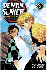 Комикс Manga Demon Slayer vol 3 цена и информация | Атрибутика для игроков | kaup24.ee