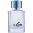 Tualettvesi meestele Hollister Free Wave EDT, 100 ml