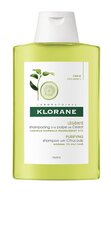 Šampoon igapäevaseks kasutamiseks Klorane Citrus Pulp 200 ml hind ja info | Klorane Juuksehooldus | kaup24.ee