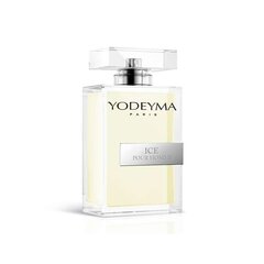 Lõhnavesi Yodeyma Ice Pour Homme EDP meestele, 100 ml hind ja info | Meeste parfüümid | kaup24.ee