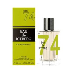 Tualettvesi Iceberg Eau de Iceberg Italian Bergamot EDT meestele, 100 ml цена и информация | Мужские духи | kaup24.ee