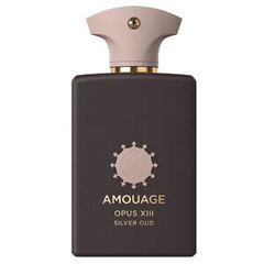 Amouage Library Collection Opus XIII Silver Oud унисекс парфюм 100 мл цена и информация | Женские духи | kaup24.ee