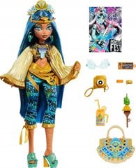 Nukk Monster High Cleo Denile hind ja info | Tüdrukute mänguasjad | kaup24.ee