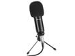 Mikrofon TRACER TRAMIC46340 цена и информация | Mikrofonid | kaup24.ee