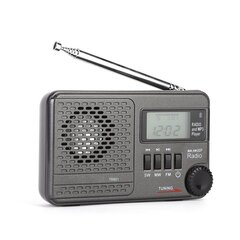 Радиоприемник All Band с картой памяти Plug In Radio Receiver Black Radio Receiver MP3 Player цена и информация | Наушники | kaup24.ee