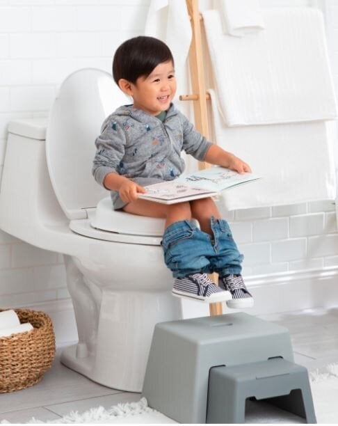 Skip Hop Go Time 3-in-1 Potty hind ja info | Pissipotid | kaup24.ee