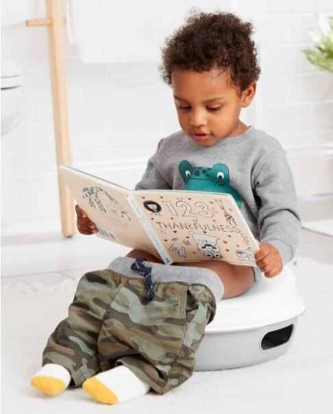 Skip Hop Go Time 3-in-1 Potty hind ja info | Pissipotid | kaup24.ee