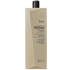 Taastav šampoon BHEYSE Repairing Shampoo with keratin and shea butter for dry and damaged hair, 1000 ml hind ja info | Šampoonid | kaup24.ee