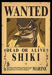 Plakat One Piece hind ja info | Fännitooted mänguritele | kaup24.ee