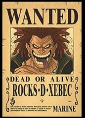 Plakat One Piece hind ja info | Fännitooted mänguritele | kaup24.ee