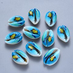 Cowrie Merekarp, Ilma Auguta, 17.5-21.5x12.5x5.5-7.5mm, Värvus: Sinine, 10tk hind ja info | Ehete valmistamine, helmestamine | kaup24.ee