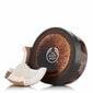 Toitev kehavõi The Body Shop Coconut 200 ml цена и информация | Kehakreemid, losjoonid | kaup24.ee