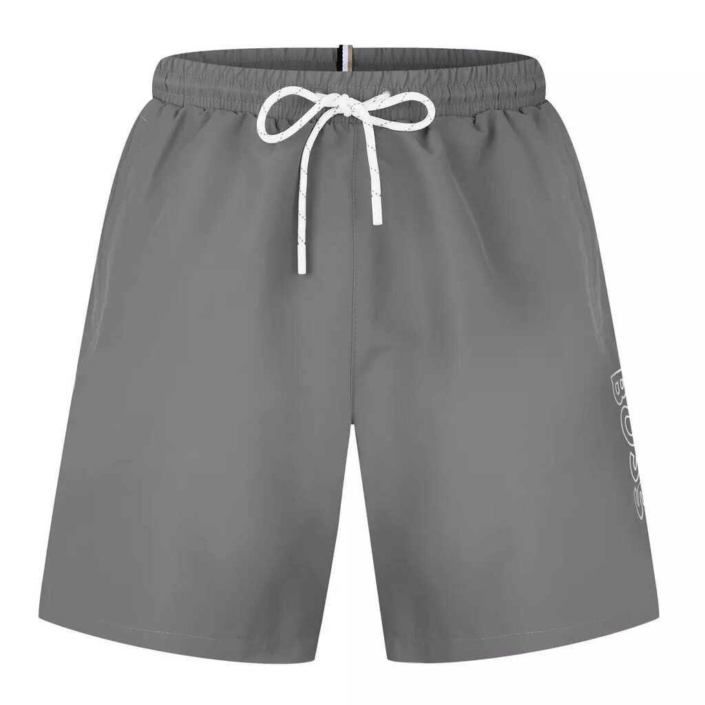 Stormfish Swim Shorts Meeste, hall цена и информация | Ujumispüksid, shortsid | kaup24.ee