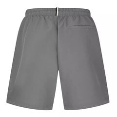 Мужские шорты Stormfish Swim Shorts Mens,серые цена и информация | Плавки, плавательные шорты | kaup24.ee