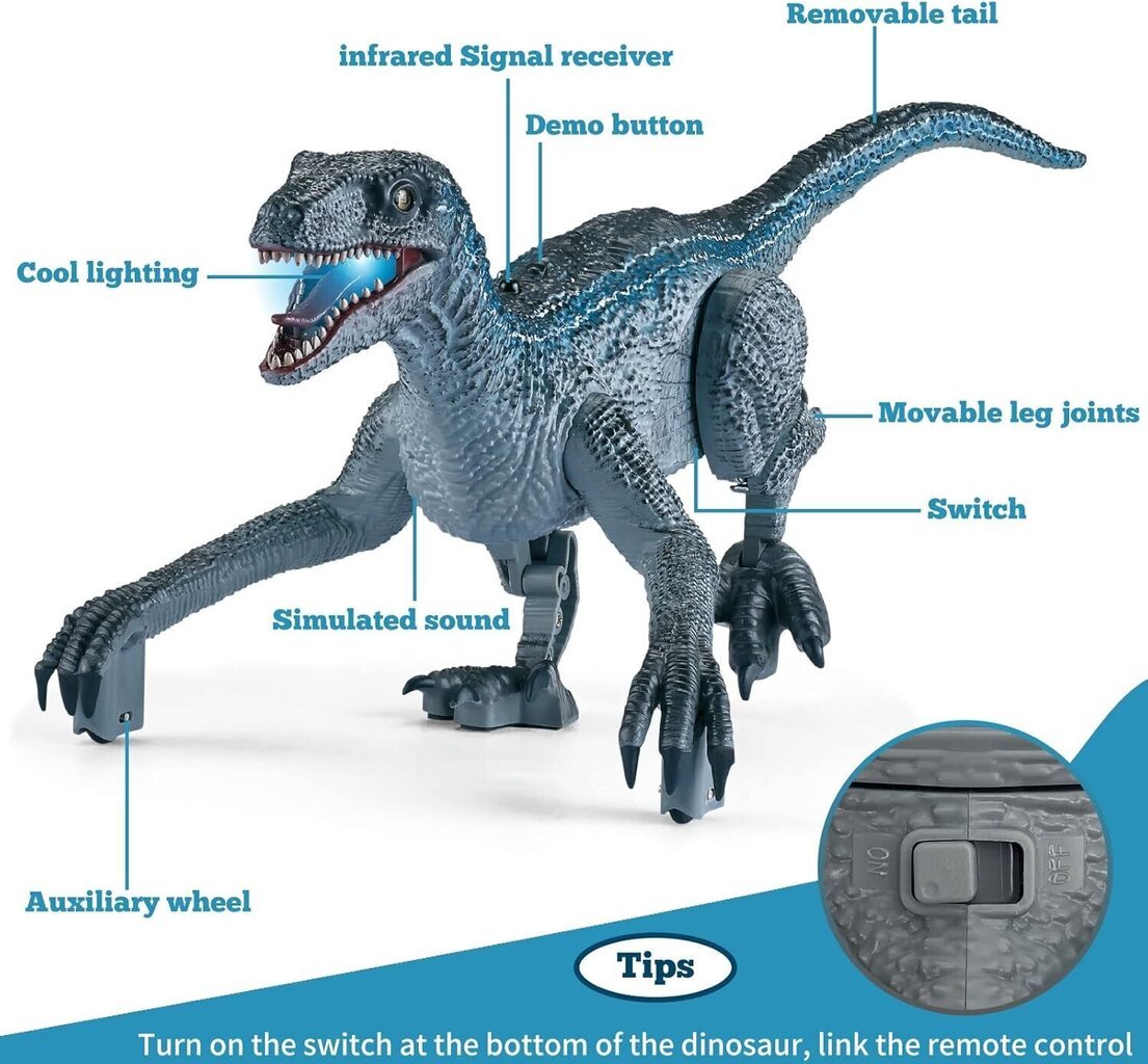 Hanmun Velociraptor dinosauruste mänguasi kaugjuhtimispuldiga hind ja info | Poiste mänguasjad | kaup24.ee