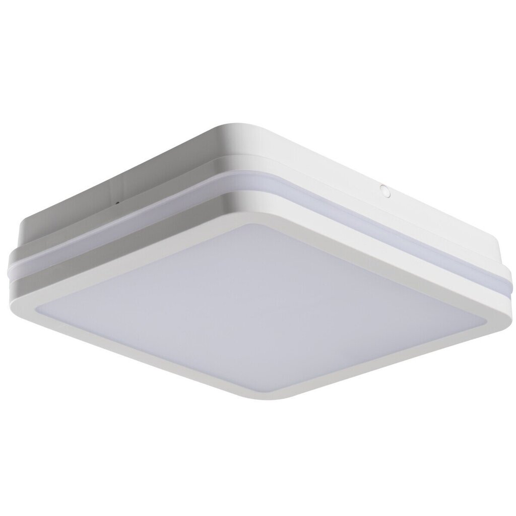 LED Plafond BENO 24W NW L SE W valge hind ja info | Aia- ja õuevalgustid | kaup24.ee