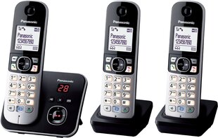 Panasonic KX-TG6823GB, разные цвета цена и информация | Стационарные телефоны | kaup24.ee