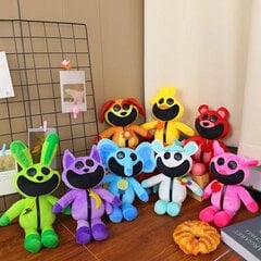 Pehme mänguasi CatNap Smiling Critters, 30 cm цена и информация | Мягкие игрушки | kaup24.ee