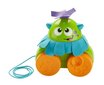 Tõmmatav mänguasi Koletis Fisher Price, FHG01 цена и информация | Imikute mänguasjad | kaup24.ee