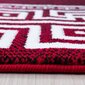 Vaip Ayyildiz Parma Red 9340, 120x170 cm hind ja info | Vaibad | kaup24.ee