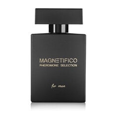 Lõhnavesi Magnetifico Pheromone Selection For Man EDP meestele, 100 ml hind ja info | Meeste parfüümid | kaup24.ee