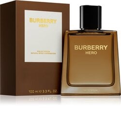 Burberry Hero EDP 100 ml M цена и информация | Мужские духи | kaup24.ee