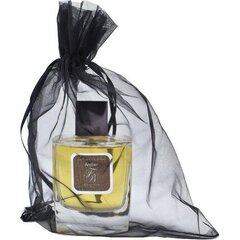 Lõhnavesi Franck boclet amber EDP meestele, 100 ml hind ja info | Meeste parfüümid | kaup24.ee