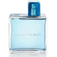 Mandarina Duck For Him Туалетная вода для мужчин 100 мл цена и информация | Мужские духи | kaup24.ee